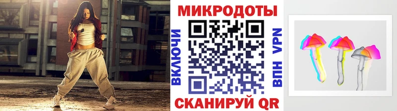 закладка  Дудинка  Псилоцибиновые грибы Psilocybine cubensis 